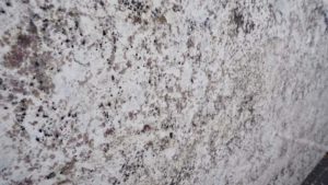 White Galaxy